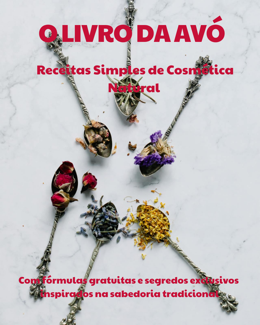 O livro da Avó